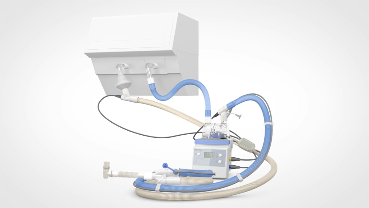 F&P 850 System for adults