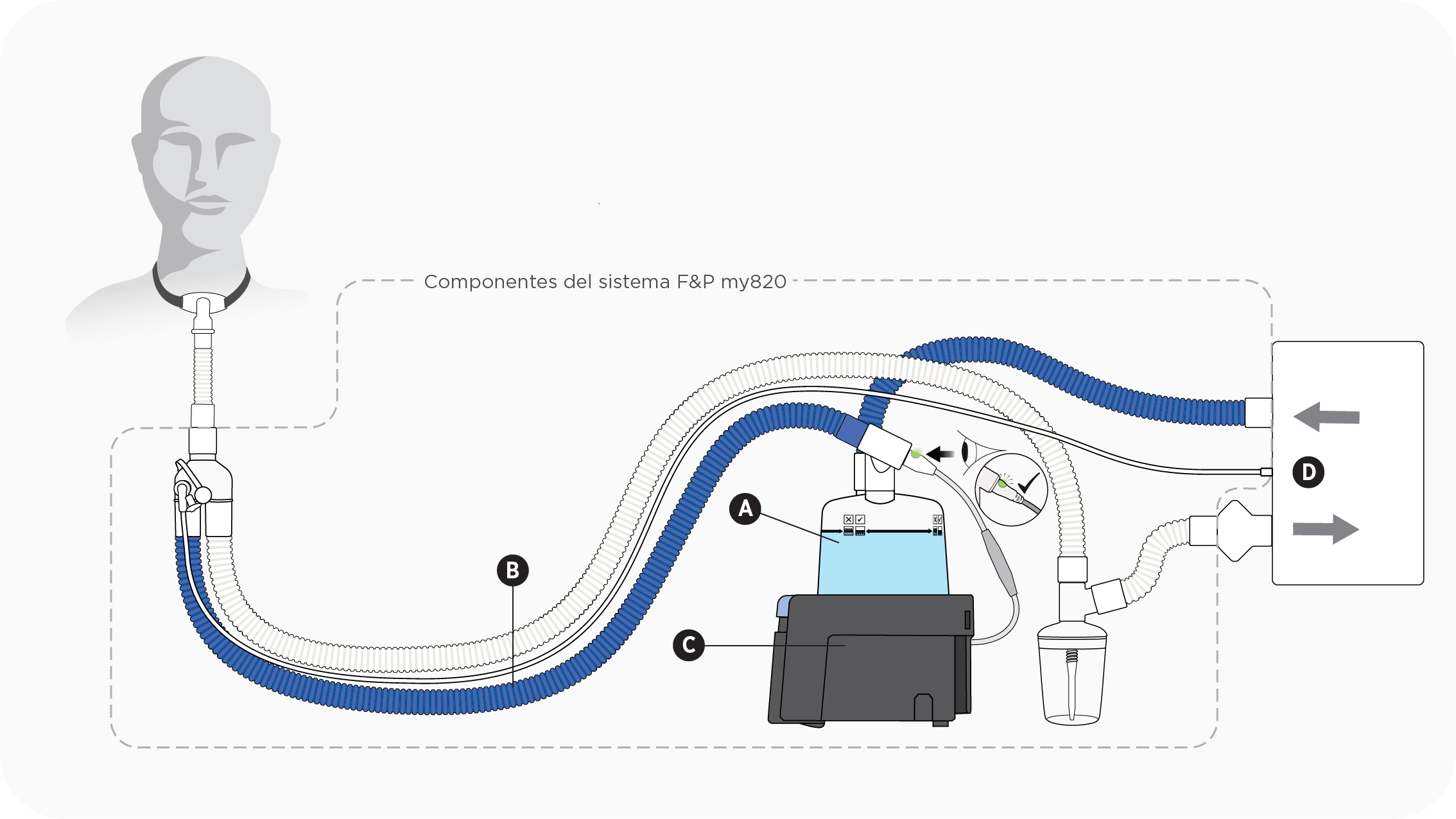 Esquema que muestra un equipo de traqueostomía que utiliza una base de calentamiento F&P my820, un tubo respiratorio de vía doble y una cámara de humidificación