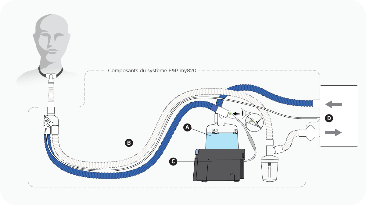 Un diagramme représentant une configuration pour trachéotomie utilisant une base chauffante, un tube respiratoire à branche double et une chambre d'humidification F&P my820