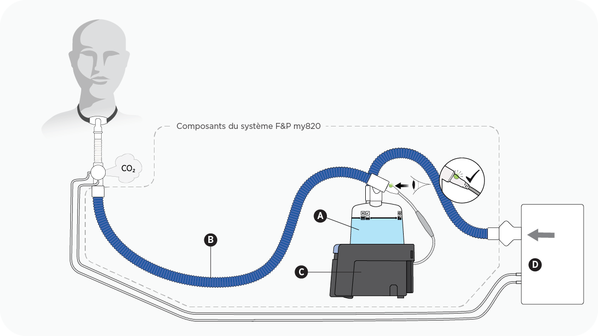 Un diagramme représentant une configuration pour trachéotomie utilisant une valve d'exhalation active avec une base chauffante, un tube respiratoire et une chambre d'humidification F&P my820