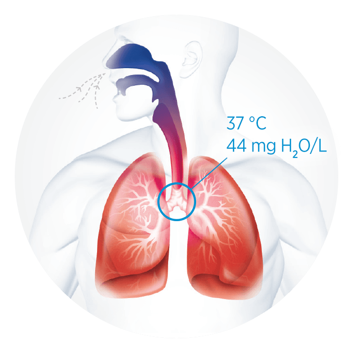 The respiratory system is a highly balanced
mechanism reliant on humidity.