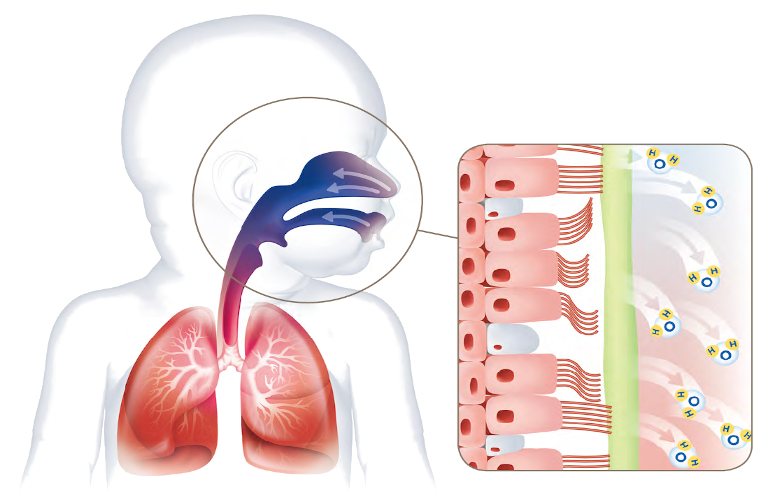 La CPAP mejora la hidratación de las vías respiratorias