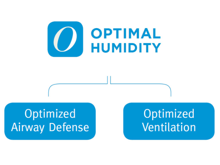 La humedad óptima optimiza la defensa y la ventilación de las vías respiratorias