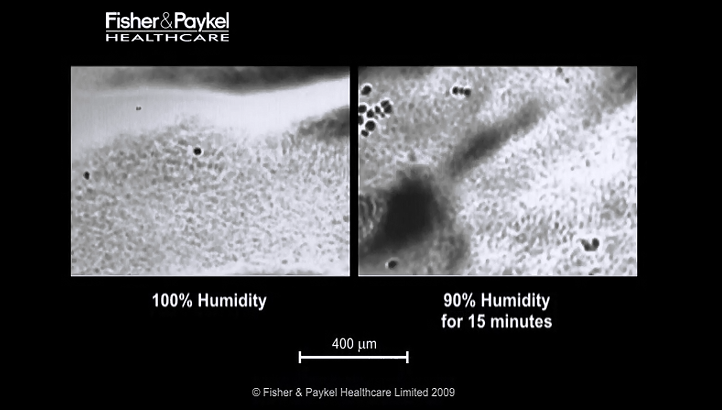 Comparison of Mucus Clearance At 100% and 90% Humidity